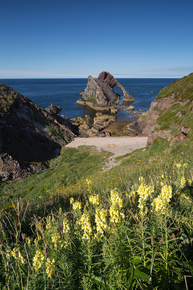 Bow Fiddle Rock, Portknockie, Moray, Schottland, Vereinigtes Königreich