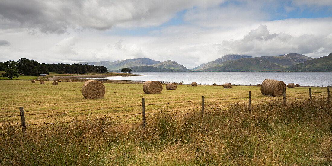 Meadow with hay bales, Highland, Argyll and Bute, Scotland, United Kingdom