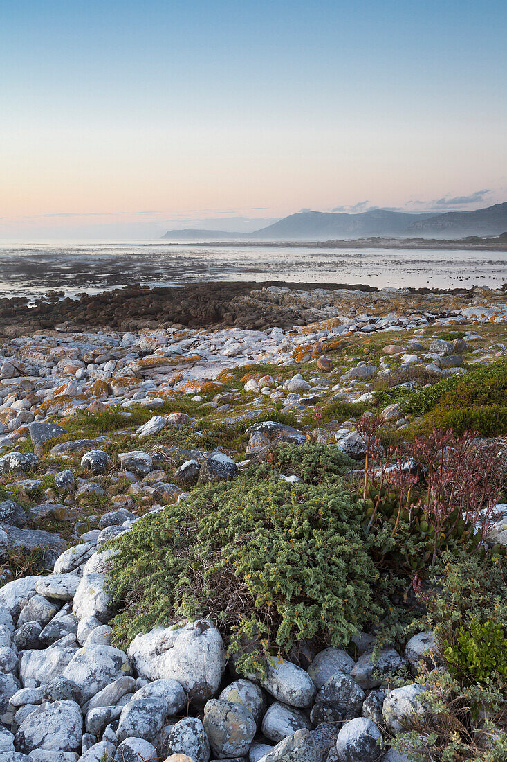 Cape Point, Tablemountain National Park, Cape town, Western cape, South Africa