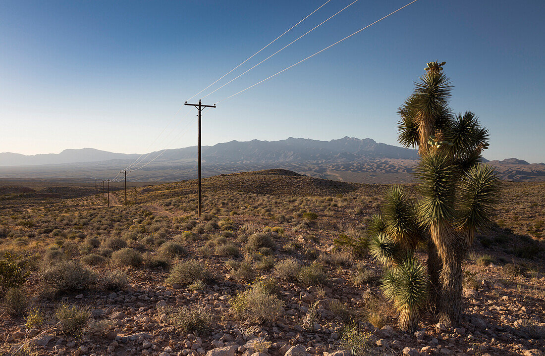 Davidson Peak, Nevada, Mojave Desert, USA