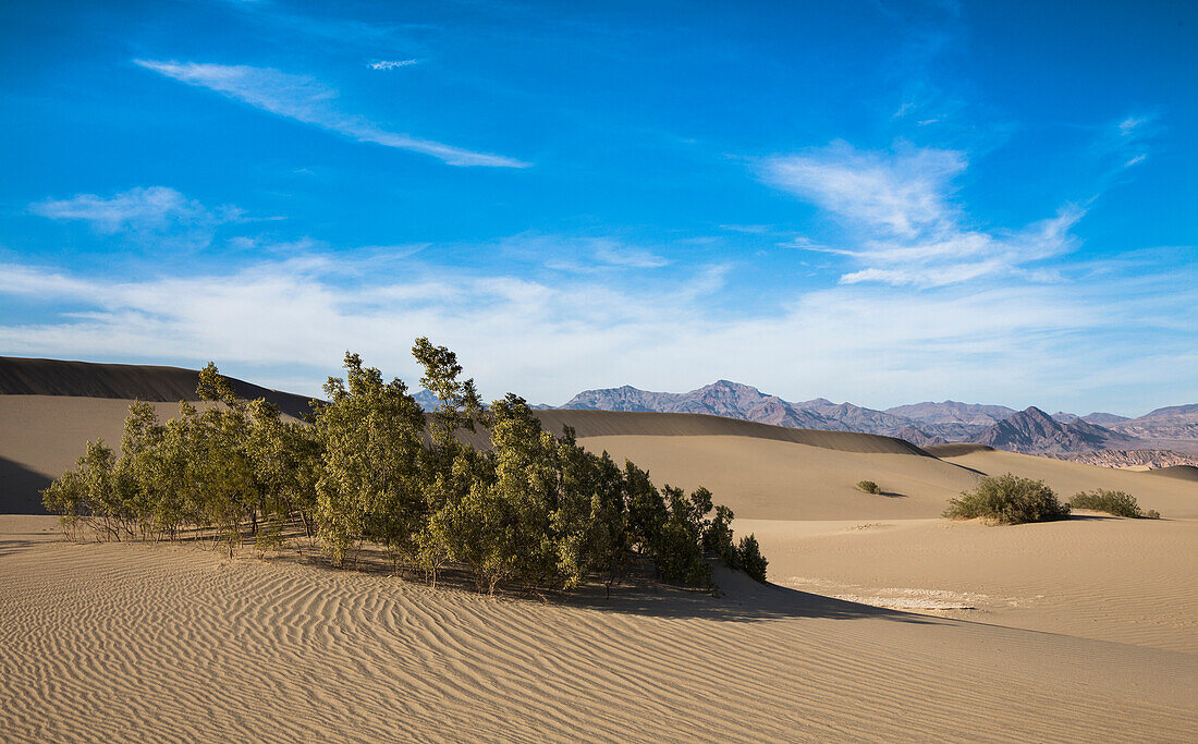 Death Valley National Park, Mojave Desert, Sierra Nevada, California, USA