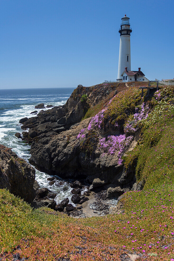 Pescadero, Pacific Coast Highway, Highway 1, West Coast, Pacific, California, USA