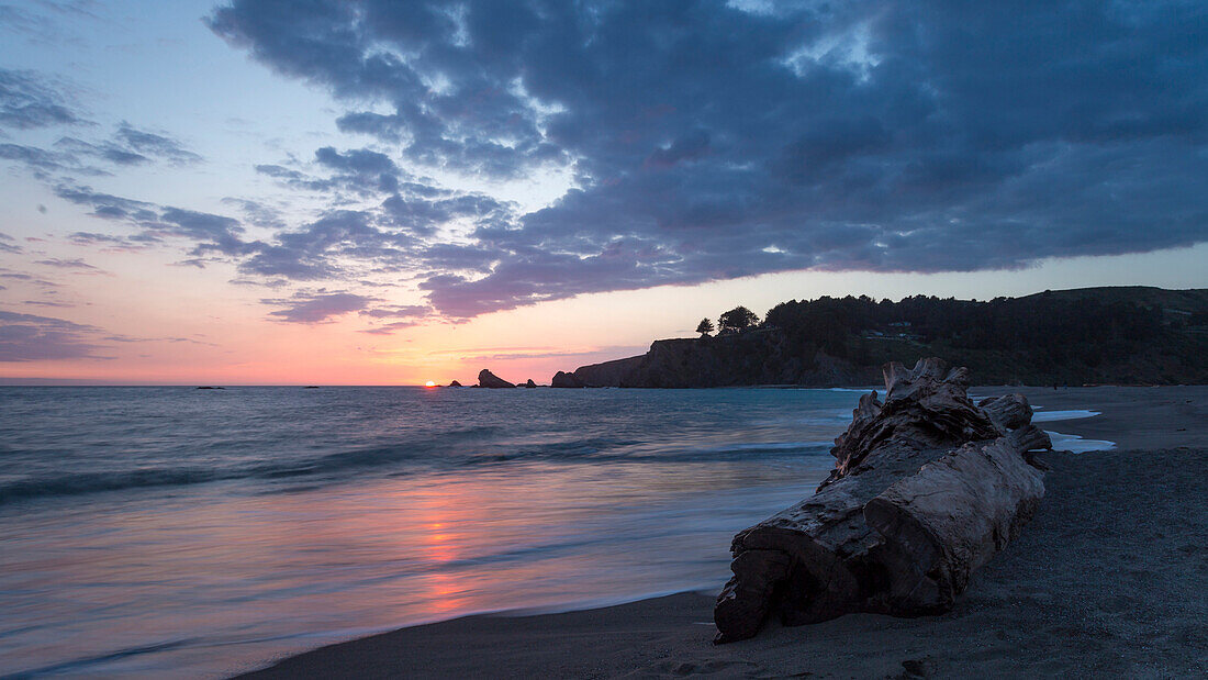 Coastal landscape at dusk, Navarro River Redwoods State Park, Pacific Coast Highway, Highway 1, West Coast, Pacific, California, USA