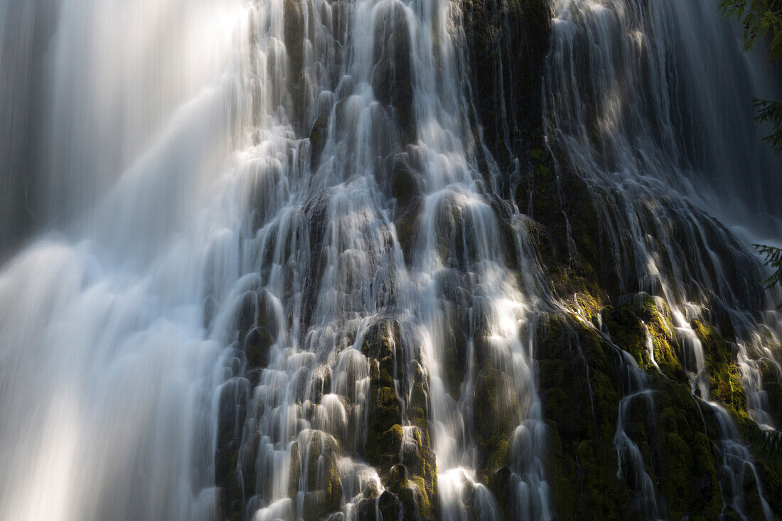 Wasserfall, Willamette National Forest, Three Sisters Wilderness, Oregon, USA