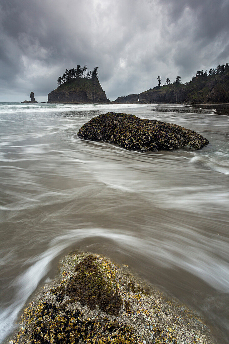 La Push, Olympic National Park, Clallam County, Washington, USA