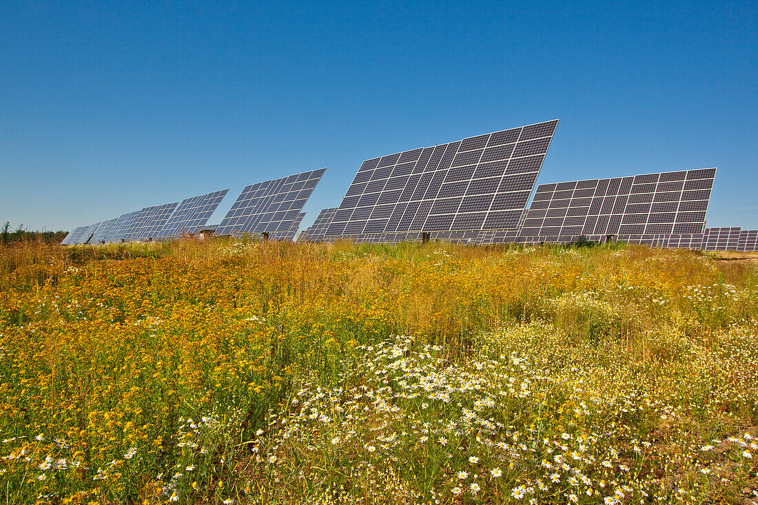 Solar park in summer, Peterswald, Neuental, Hesse, Germany, Europe