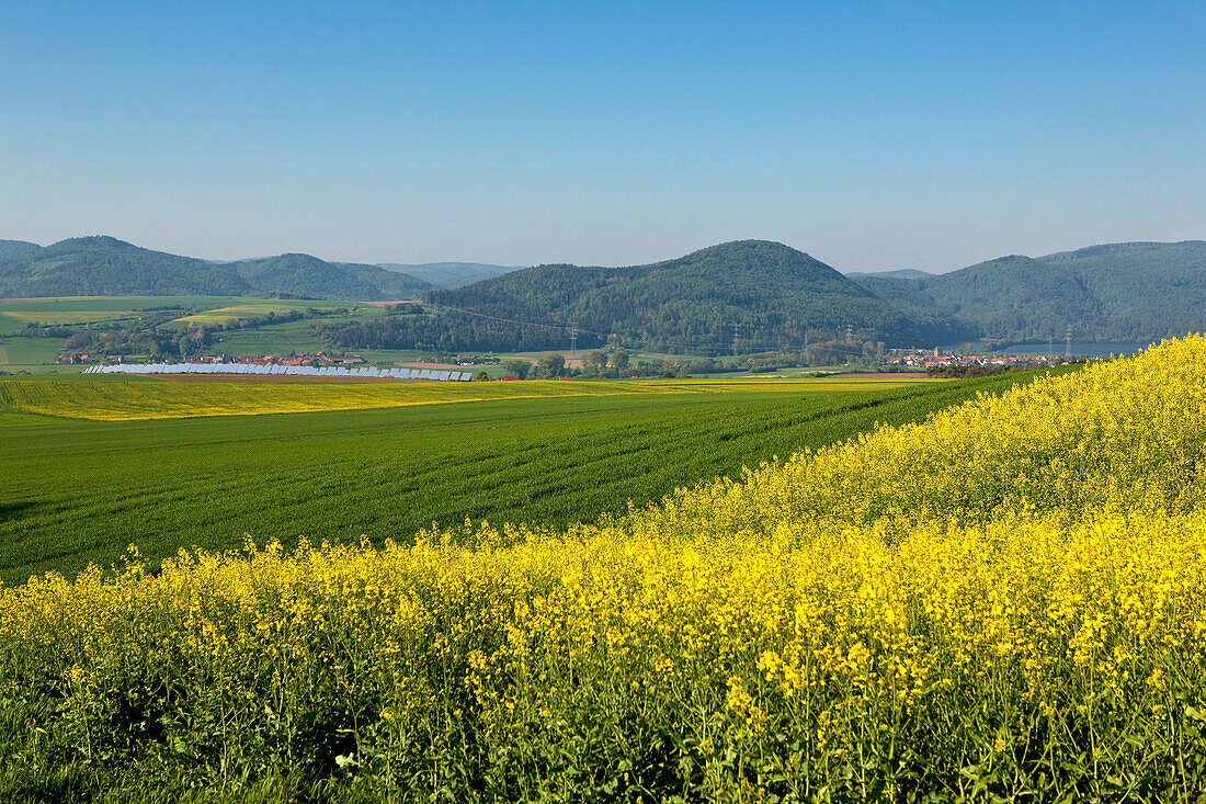 Solar park with yellow flowering canola fields in summer, Lieschensruh, Edertal, Hesse, Germany, Europe