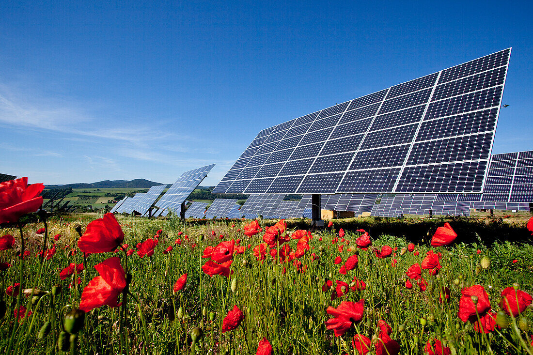Solar park with poppy meadow in summer, Edertal, Hesse, Germany, Europe