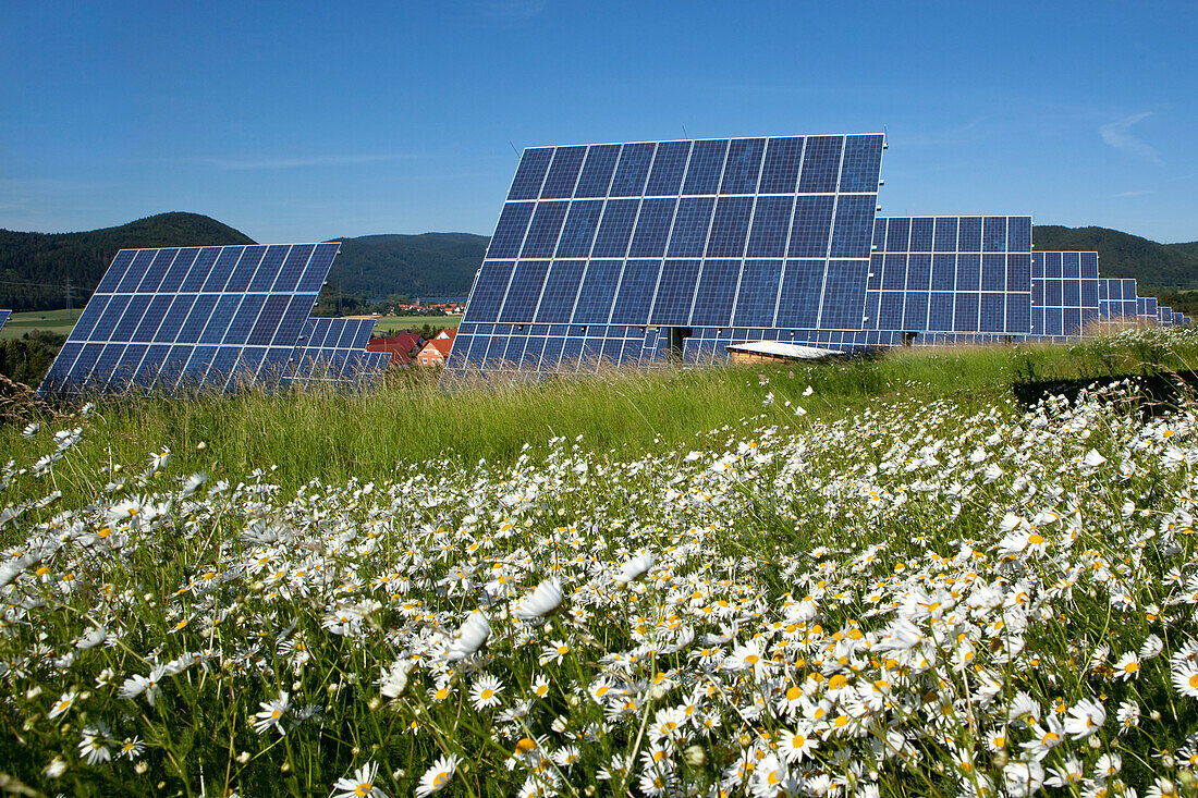 Solar park with daisy meadow in summer, Lieschensruh, Edertal, Hesse, Germany, Europe