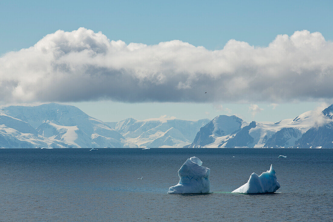 Antarktische Landschaft mit Eisbergen, Marguerite Bay, Antarktis