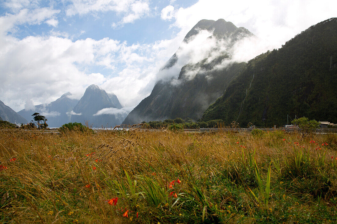 Bright spot in Milford Sound, cloud-shrouded mountains, Milford Sound, Fiordland National Park, South Island, New Zealand