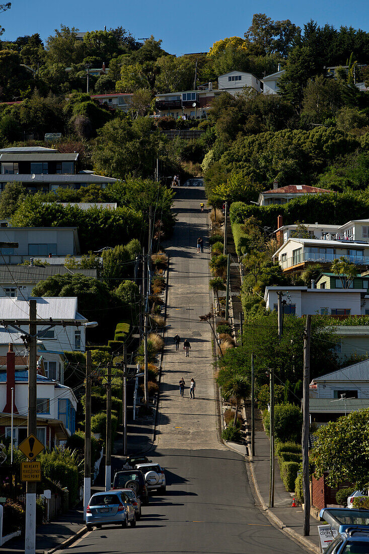 Baldwin Street is the world's steepest street, Dunedin, Otago, South Island, New Zealand