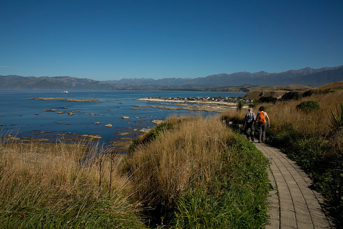 Peninsula Walkway overlooking South Bay to Fish Kaikoura community with expedition cruise ship MS Hanseatic (Hapag-Lloyd Cruises) in the distance, near Kaikoura, Canterbury, South Island, New Zealand