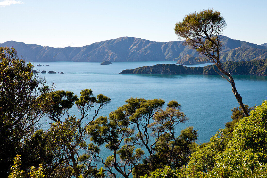 View from the top of Motuara Island to Long Island, Motuara Island, Outer Queen Charlotte Sound, Marlborough, South Island, New Zealand