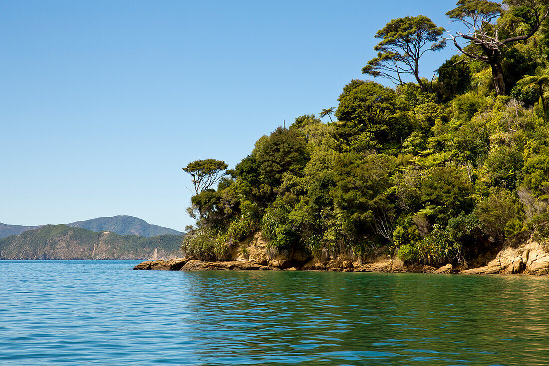 Ship Cove coastline, Outer Queen Charlotte Sound, Marlborough, South Island, New Zealand