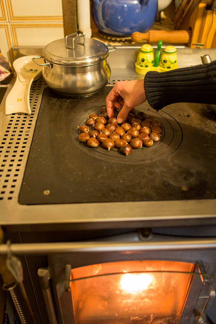roasting chestnuts on wood fired stove, Toscany, Italy