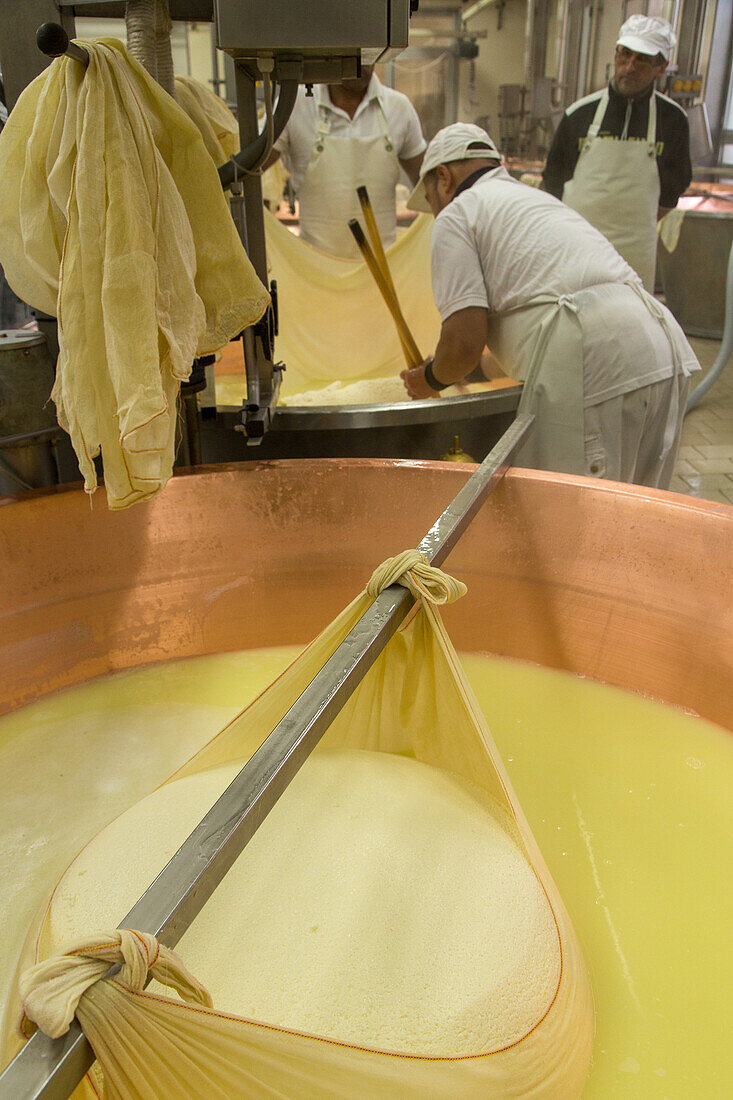 Aufrahmung der frischen Rohmilch in Kupferkessel, Ballonsieb spino, Käsegranulat in Tüchern geformt, Parmesankäse, Parmigiano-Reggiano, Käserei caseificio Sociale Fior di Latte Soc. Coop, Käseproduktionen, Käselaib, Kupferkessel, Milch