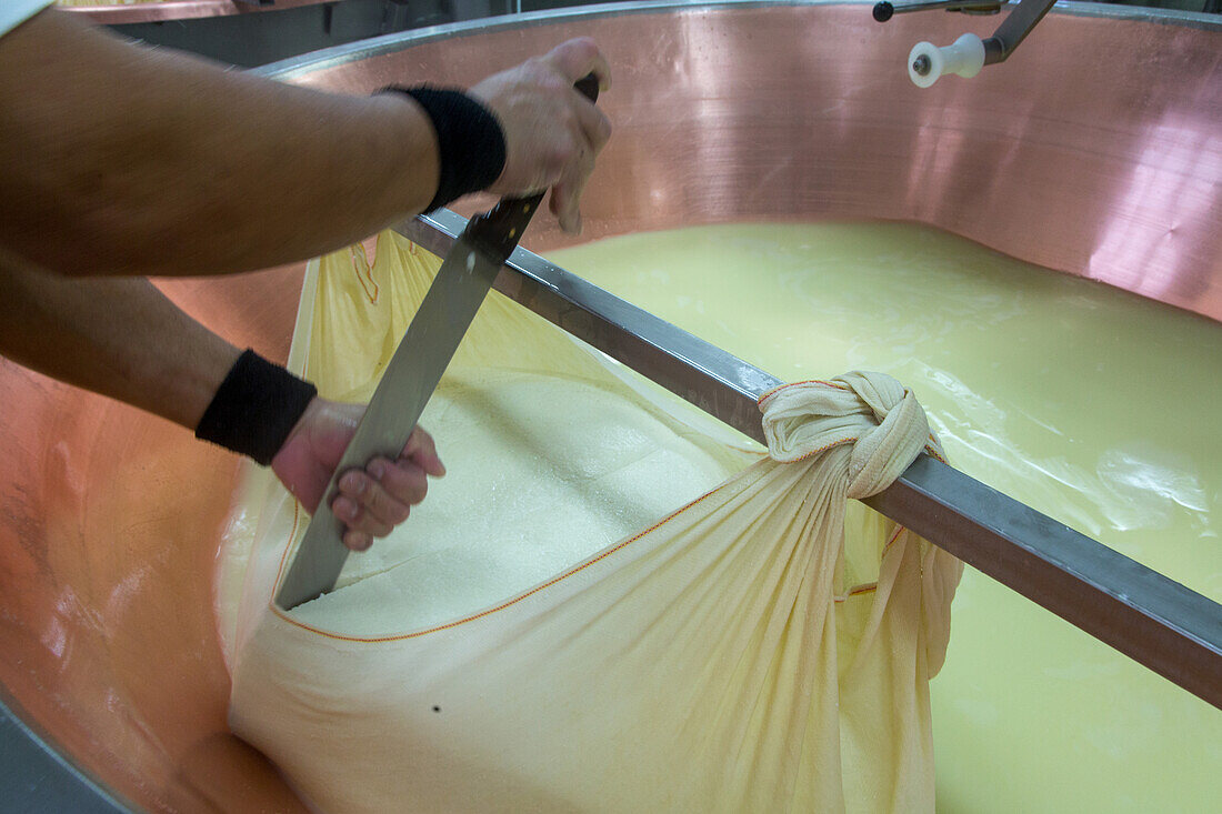 cheese maker, Parmesan production, Parmigiano-Reggiano