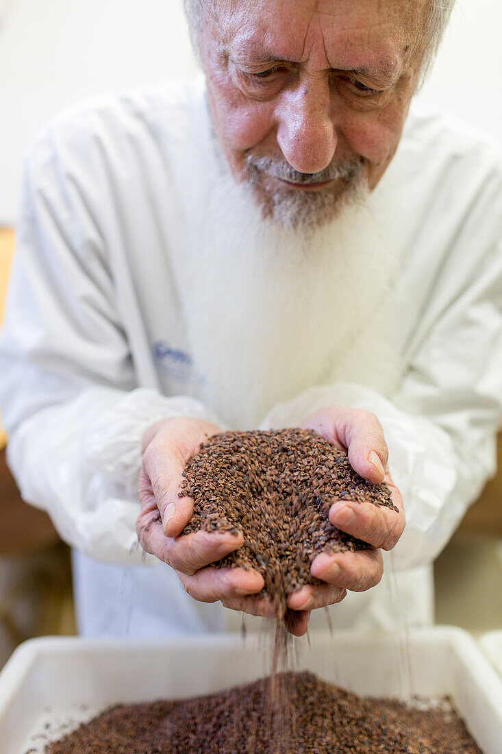 Roberto Catinari, Schokolade, Meisterchocolatier, Chocolatier mit Kakaobohnen, toskanische Schokoladenmanufaktur, Schokoladenkunst, Agliana, Toskana, Italien