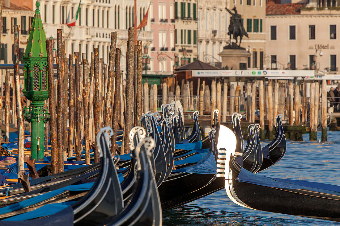row of gondolas berthed near San Marco, poles, paline, along the Riva degli Schiavoni, Venice, Italy