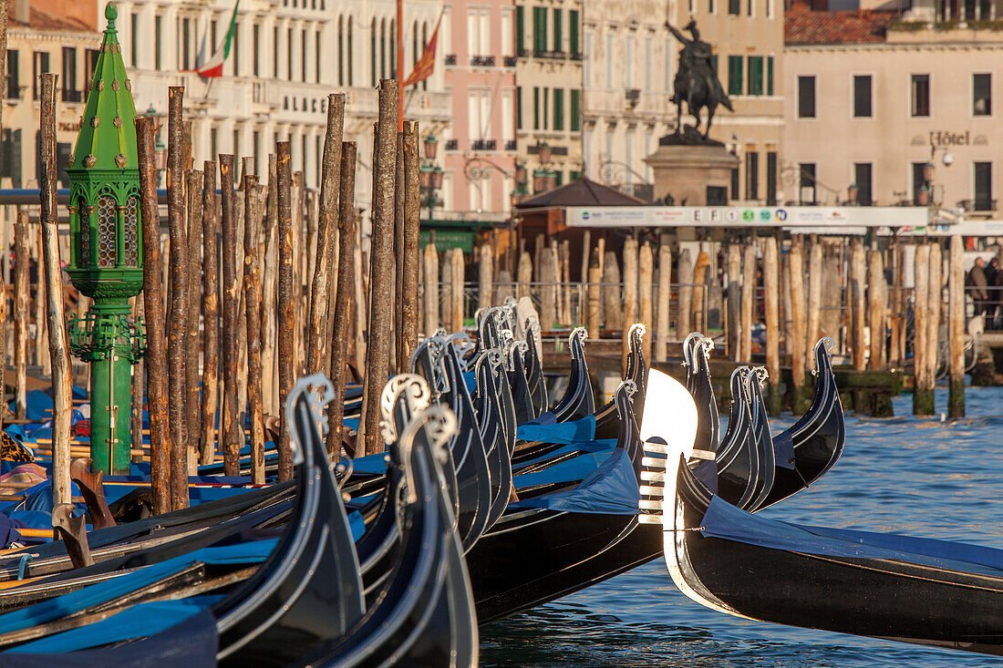 viele Gondeln liegen in Reihe an dem Kai der Riva degli Schiavoni, Gondeln, Markusplatz, Venedig, Italien