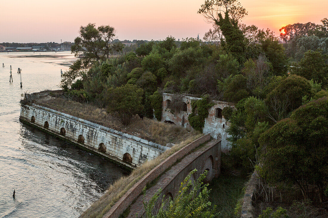 Sonnenuntergang, Festung Sant Andrea, überwuchert von Pflanzen und Bäumen, historische Verteidigungsanlage, Lagune von Venedig, Italien