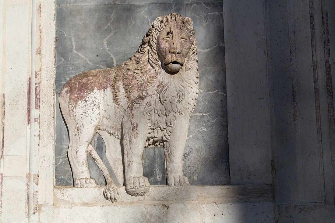 stone relief of lion, decoration, guards entrance to Scuola Grande di San Marco, today the hospital, Venice, Italy