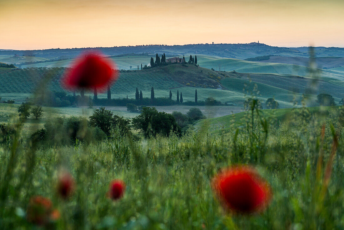 Landschaft bei San Quirico d'Orcia, Val d'Orcia, Provinz Siena, Toskana, Italien, UNESCO Welterbe