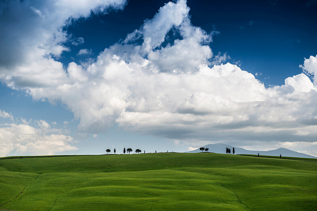 Landschaft bei San Quirico d'Orcia, Val d'Orcia, Provinz Siena, Toskana, Italien, UNESCO Welterbe