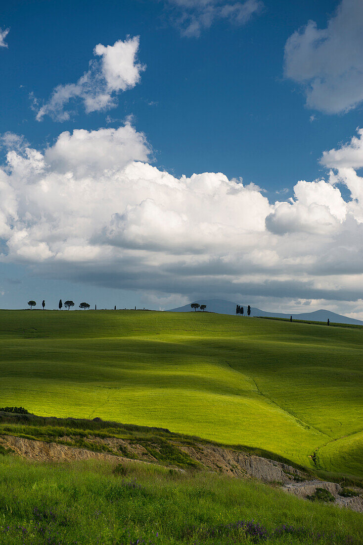 landscape near San Quirico d`Orcia, Val d`Orcia, province of Siena, Tuscany, Italy, UNESCO World Heritage