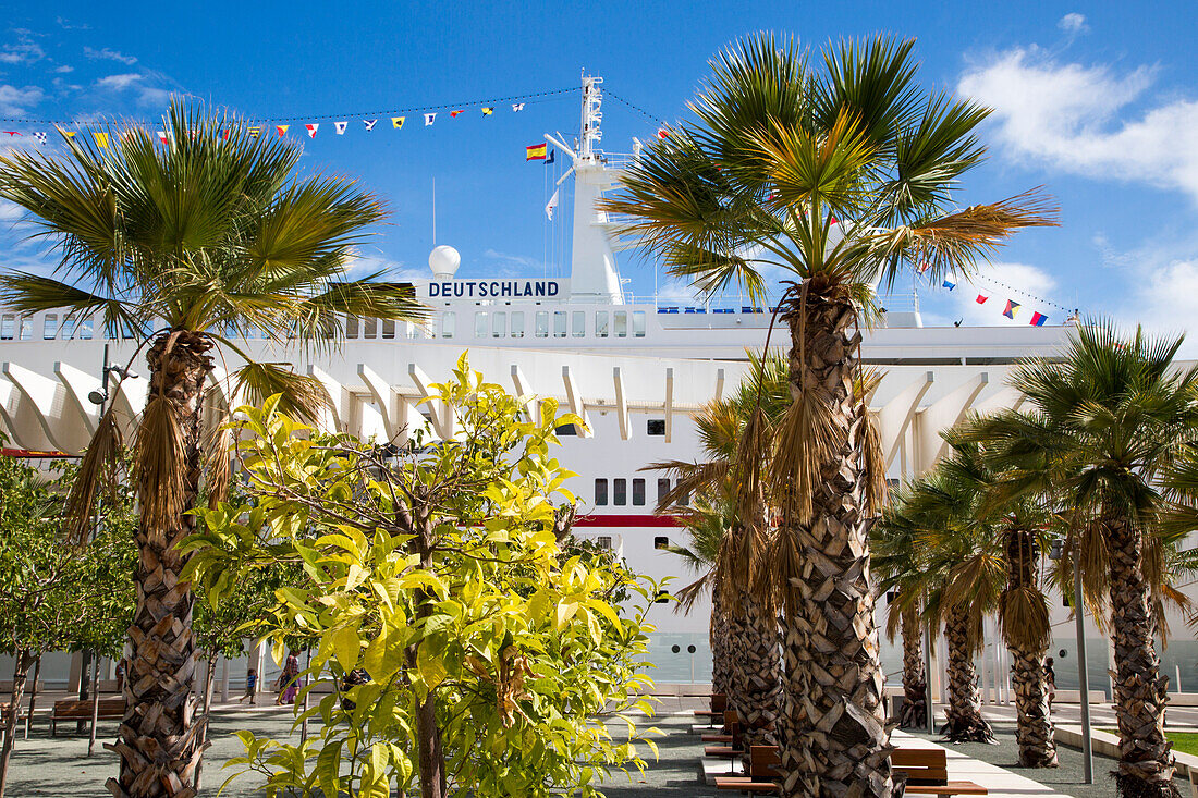 Palm trees and cruise ship MS Deutschland (Reederei Peter Deilmann), Malaga, Andalusia, Spain