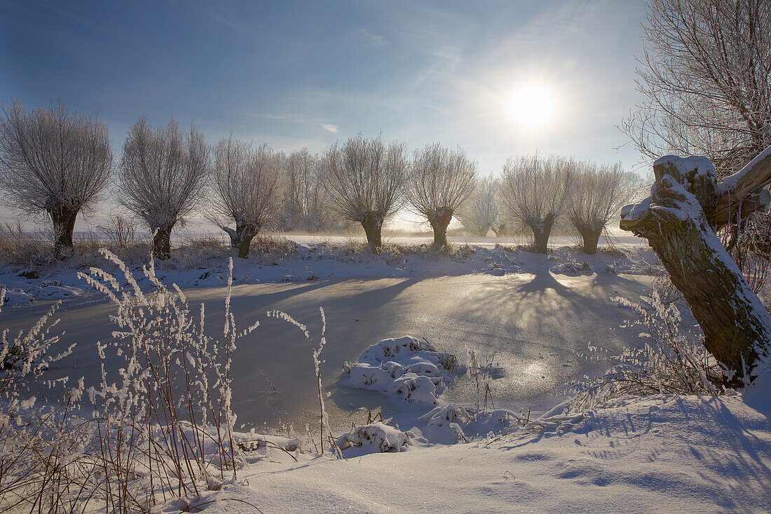 Winterstimmung an einem Weiher, Landschaft bei Bad Doberan, Mecklenburg Vorpommern, Deutschland