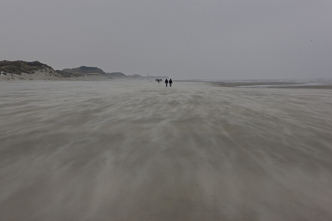 Sturm at the island of Juise, East Frisian Islands, North Sea Coast, Lower Saxony, Germany