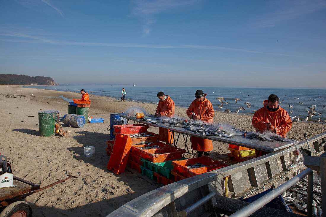 Fishermen on the beach near Baabe, Moenchgut, Ruegen, Baltic Sea, Mecklenburg Vorpommern, Germany