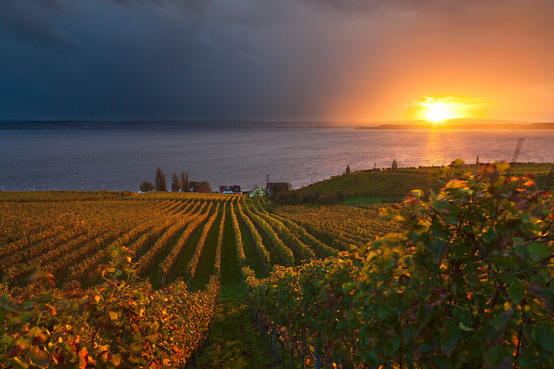 Gewitterwolken über dem See, bei Meersburg, Bodensee, Baden-Württemberg, Deutschland