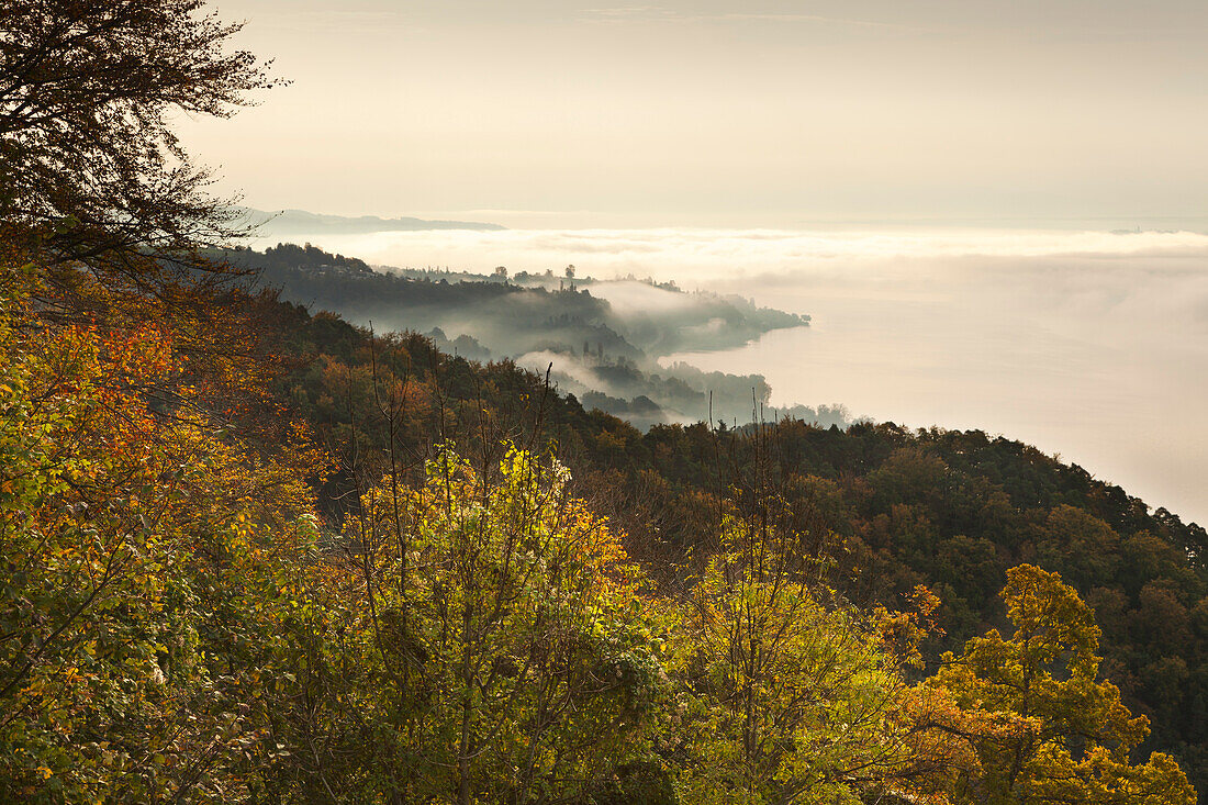 Nebel über dem Bodensee, bei Sipplingen, Bodensee, Baden-Württemberg, Deutschland