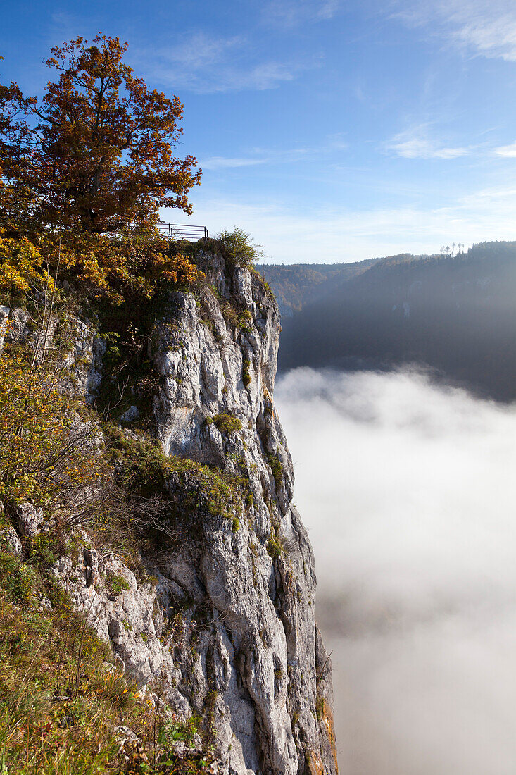 Eichsfelsen, Nebel im Tal der Donau, Naturpark Oberes Donautal, Schwäbische Alb, Baden-Württemberg, Deutschland