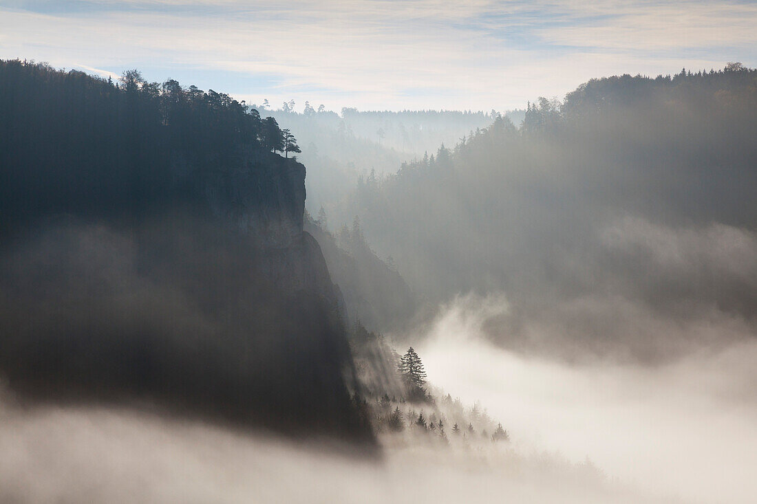 Ascending mist at the rocks in the valley of the Danube river, Upper Danube Nature Park, Baden- Wuerttemberg, Germany