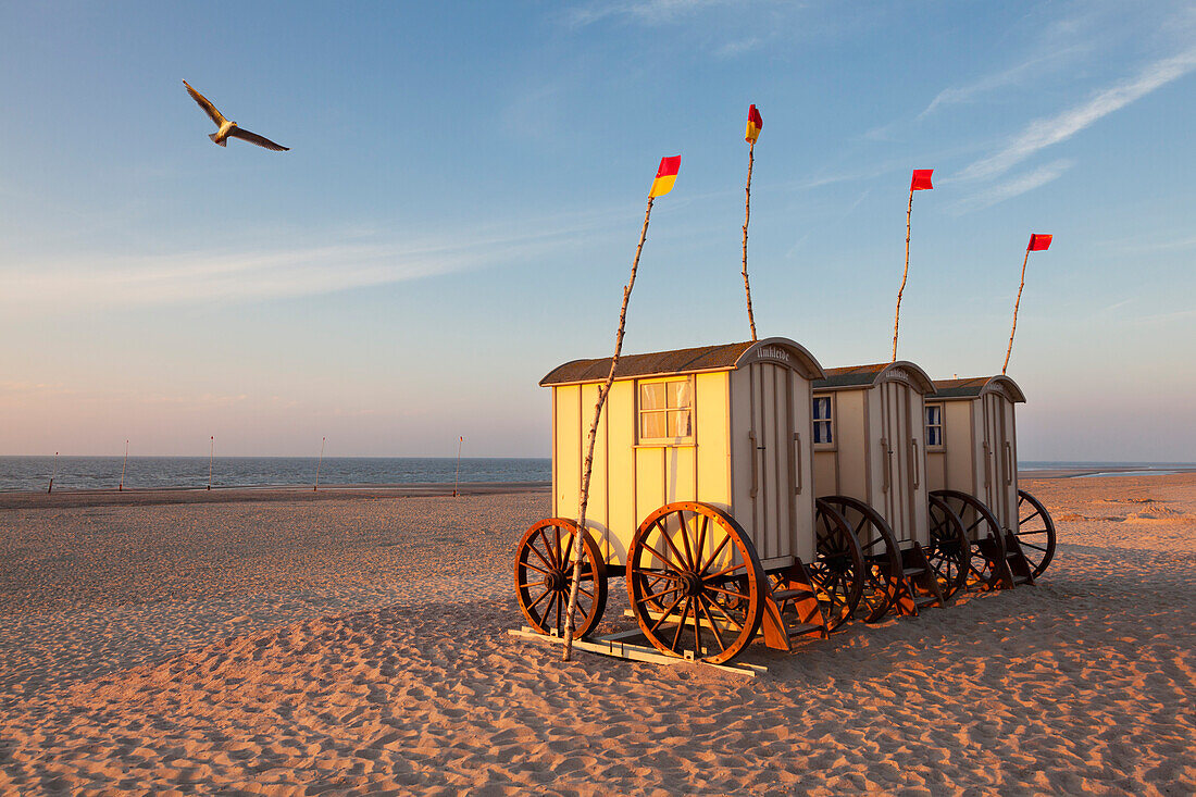 Beach huts on the beach, Nordstrand, Norderney, Ostfriesland, Lower Saxony, Germany