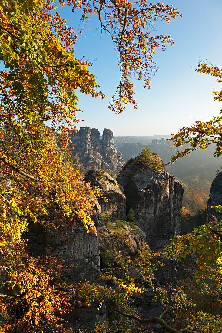 Blick zu den Gansfelsen an der Bastei, Nationalpark Sächsische Schweiz, Elbsandsteingebirge, Sachsen, Deutschland