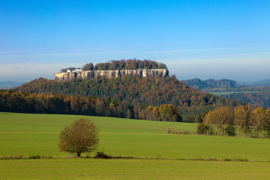 Koenigstein with its castle, National Park Saxon Switzerland, Elbe Sandstone Mountains, Saxony, Germany