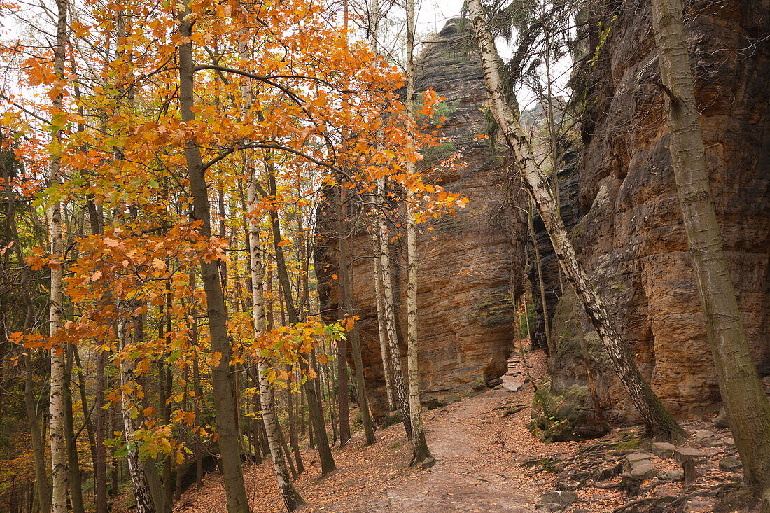 Hiking trail between the rocks at Bielatal, National Park Saxon Switzerland, Elbe Sandstone Mountains, Saxony, Germany