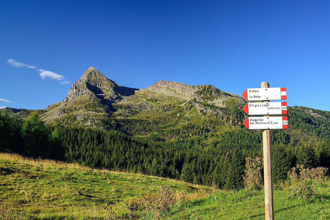 Wanderwegweiser am Passo Rolle mit Colbricon und Colbricon Piccolo im Hintergrund, Trans-Lagorai, Lagorai-Höhenweg, Lagorai, Dolomiten, UNESCO Welterbe Dolomiten, Trentino, Italien