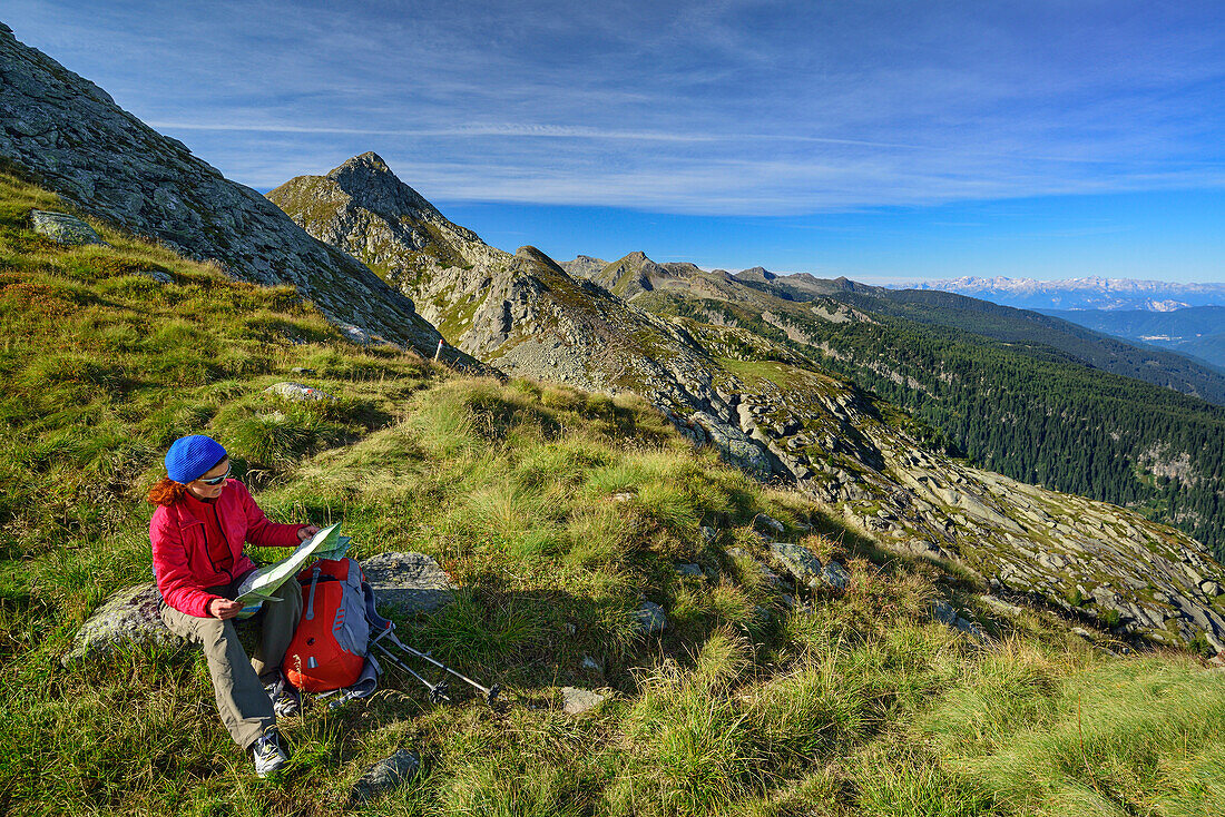 Woman hiking looking on map, mountains in background, Trans-Lagorai, Lagorai range, Dolomites, UNESCO World Heritage Site Dolomites, Trentino, Italy