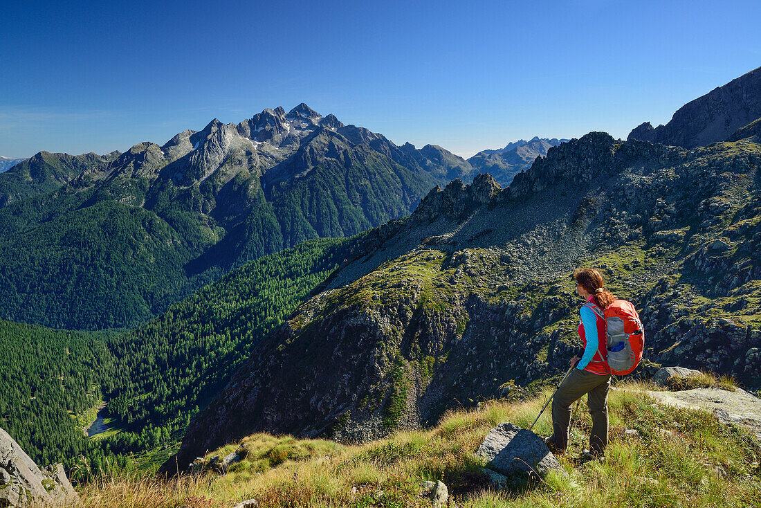 Frau beim Wandern blickt auf Cima d'Asta, Trans-Lagorai, Lagorai-Höhenweg, Lagorai, Dolomiten, UNESCO Welterbe Dolomiten, Trentino, Italien