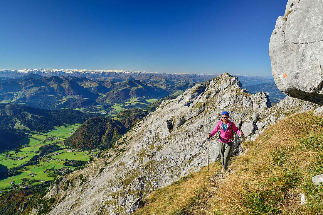 Woman hiking through meadow in autumn colours with Grossvenediger in background, Nurracher Hoehenweg, Ulrichshorn, Loferer Steinberge range, Tyrol, Austria