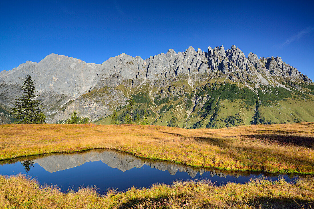 Hochkönig, Großer Bratschenkopf und Mandlwand spiegeln sich in Bergsee, Berchtesgadener Alpen, Salzburg, Österreich
