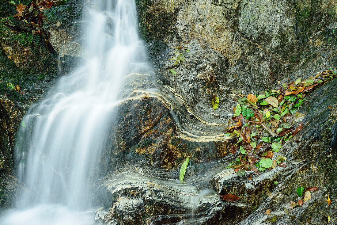 Stream with Autumn leaves, Ticino, Switzerland