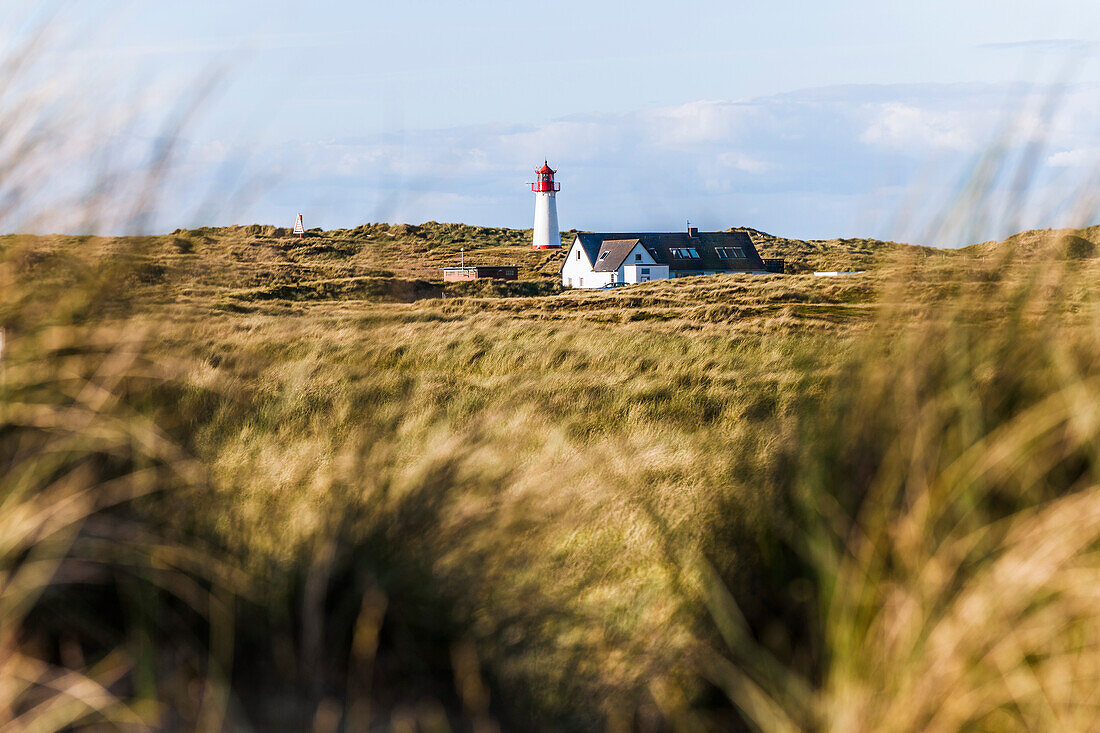 List West lighthouse, List, Ellenbogen, Sylt, Schleswig-Holstein, Germany