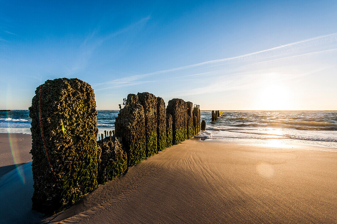 Buhnen am Strand, Kampen, Sylt, Schleswig-Holstein, Deutschland